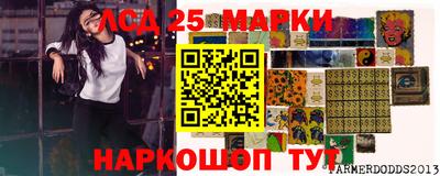 мдпв Жуковский