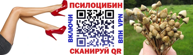 blacksprut ONION  Нефтеюганск  Псилоцибиновые грибы мицелий 
